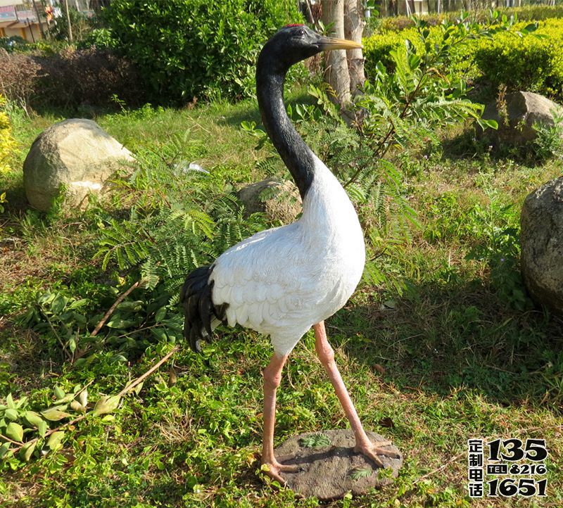 戶外玻璃鋼彩繪仿真動物公園景觀仙鶴雕塑 戶外玻璃鋼彩繪仿真動物公園景觀仙鶴雕塑